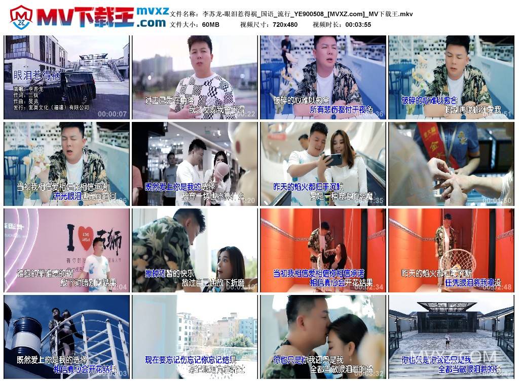 李苏龙-眼泪惹得祸_国语_流行_YE900508